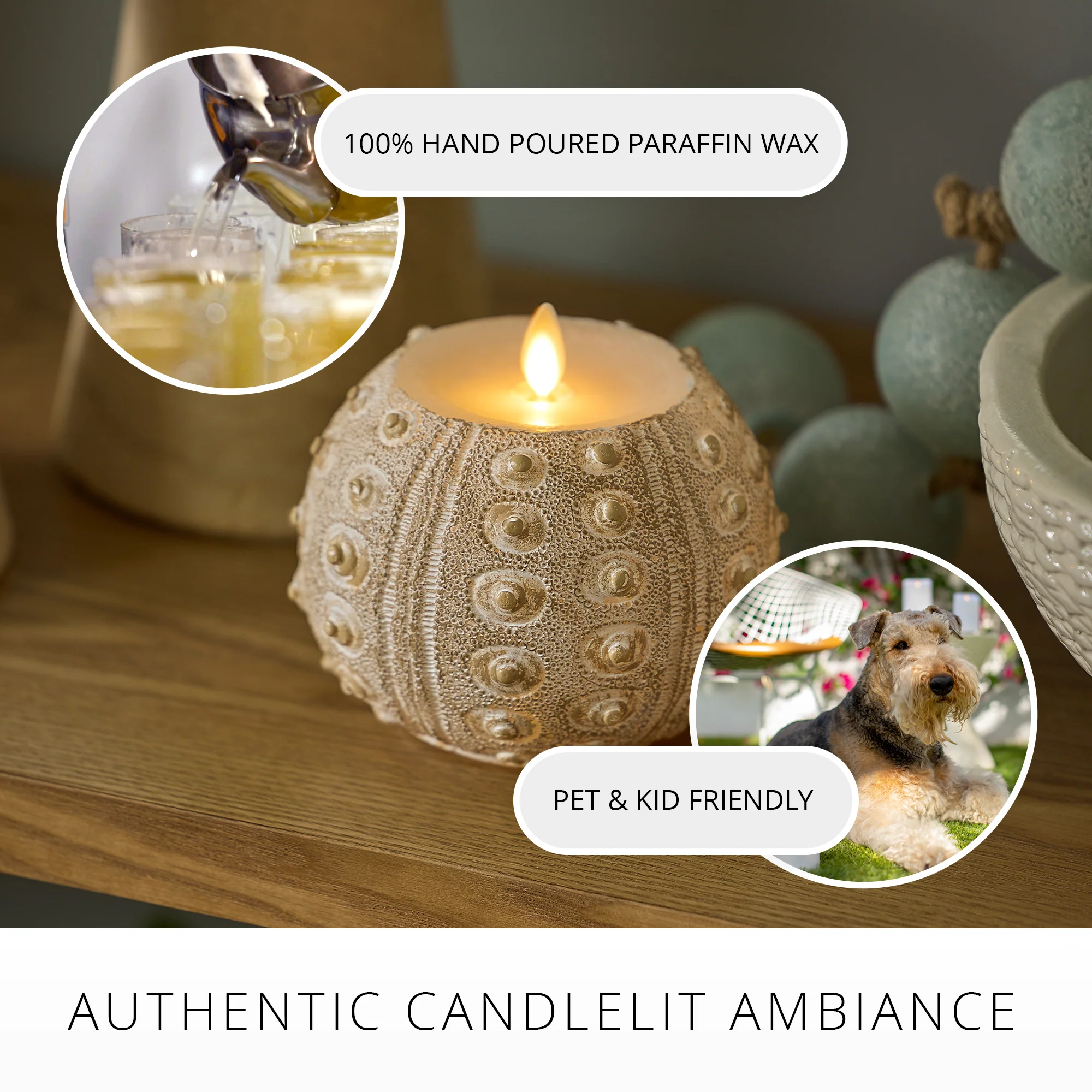 White Sea Urchin Shell Flameless Candle - Image 4