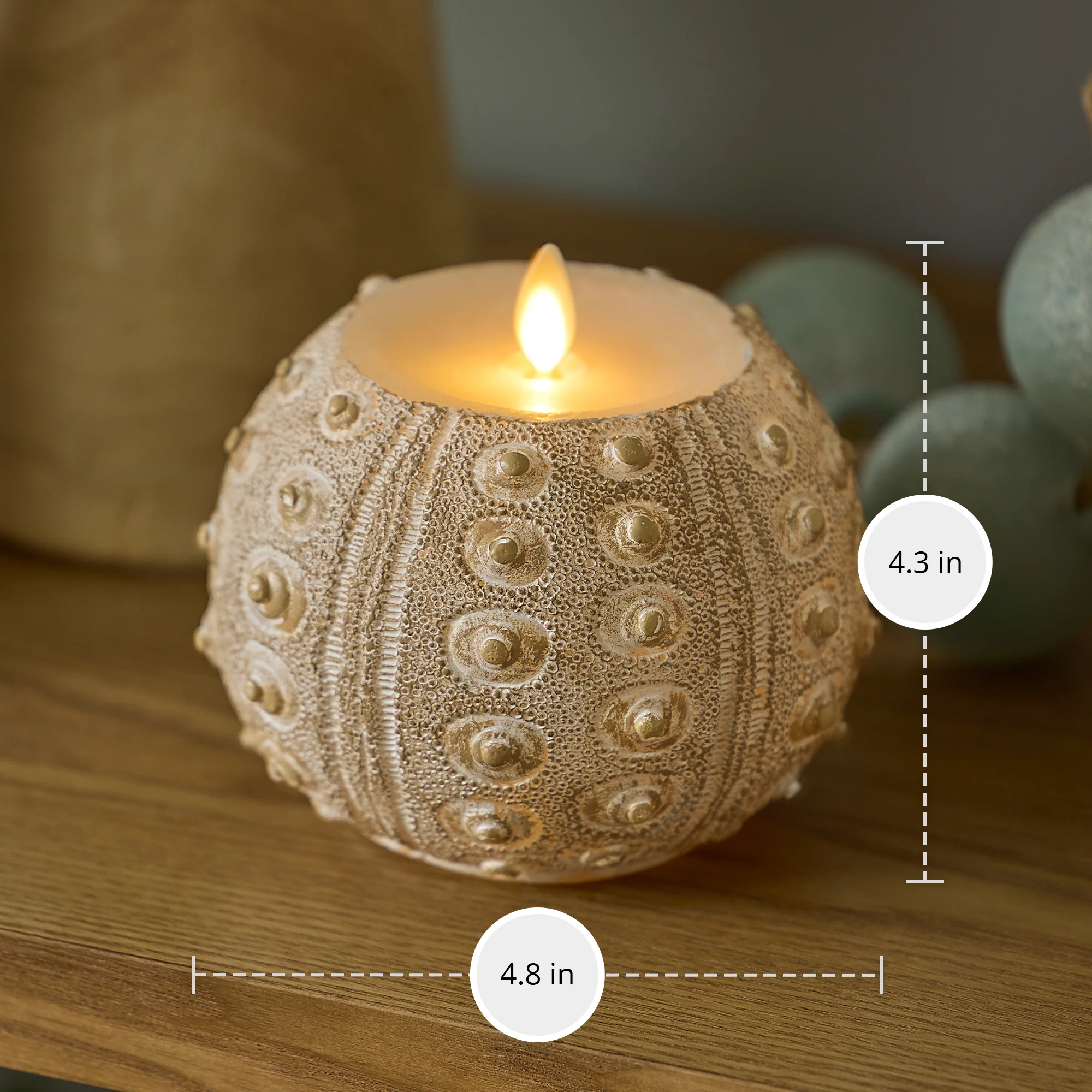 White Sea Urchin Shell Flameless Candle - Image 5