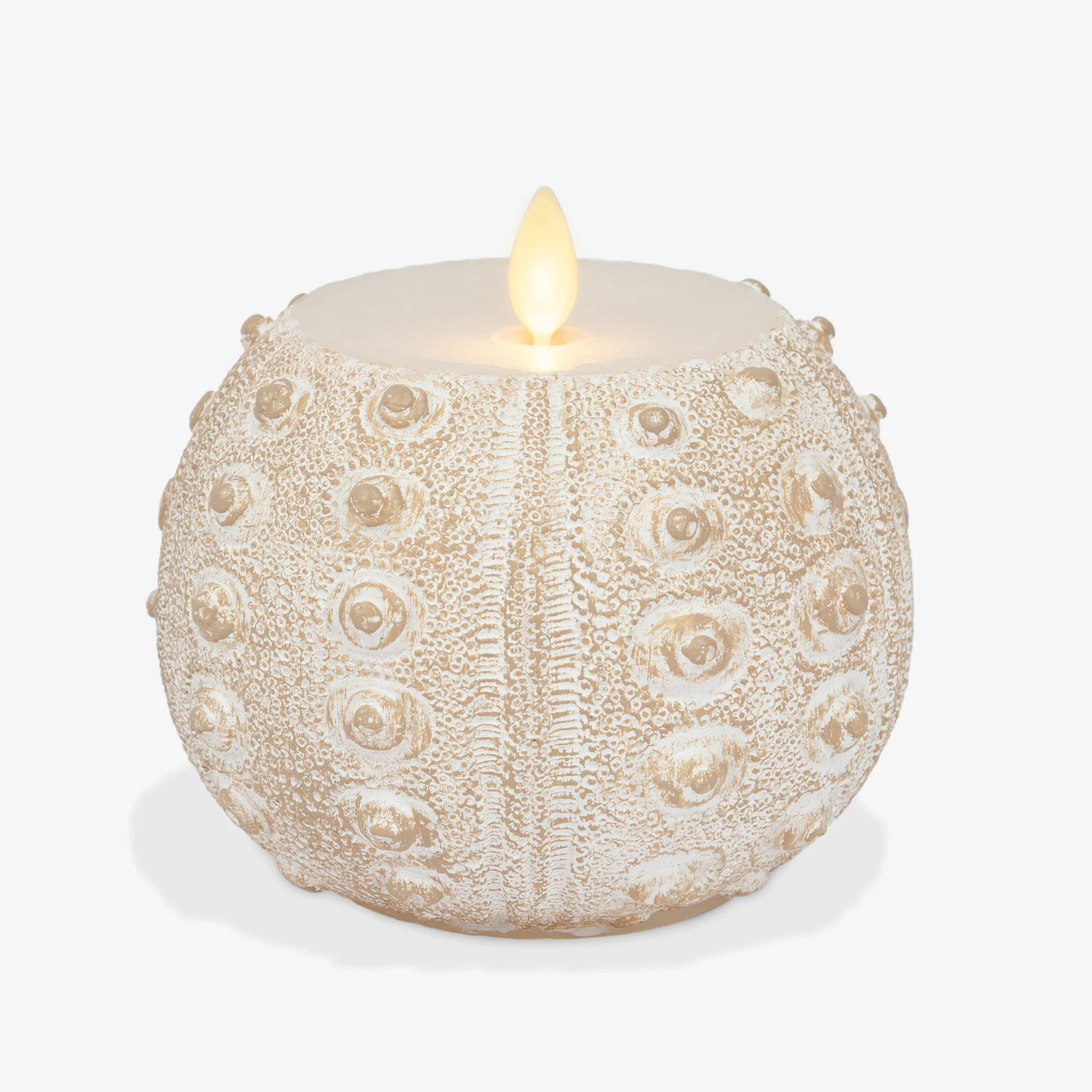 White Sea Urchin Shell Flameless Candle - Image 6